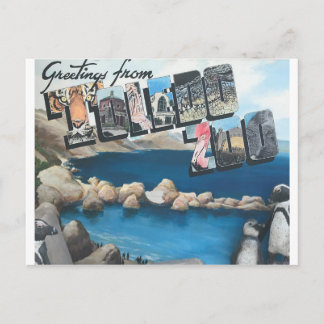 Greetings From The Toledo Zoo Postcard
