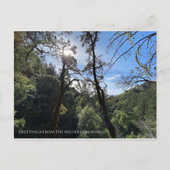 GREETINGS FROM THE WILDERNESS WORLD! POSTCARD (Front)