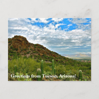 Greetings from Tucson, Arizona! Postcard