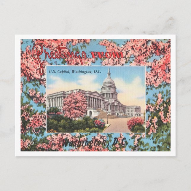Greetings from U. S. Capitol, Washington, D. C. Postcard (Front)