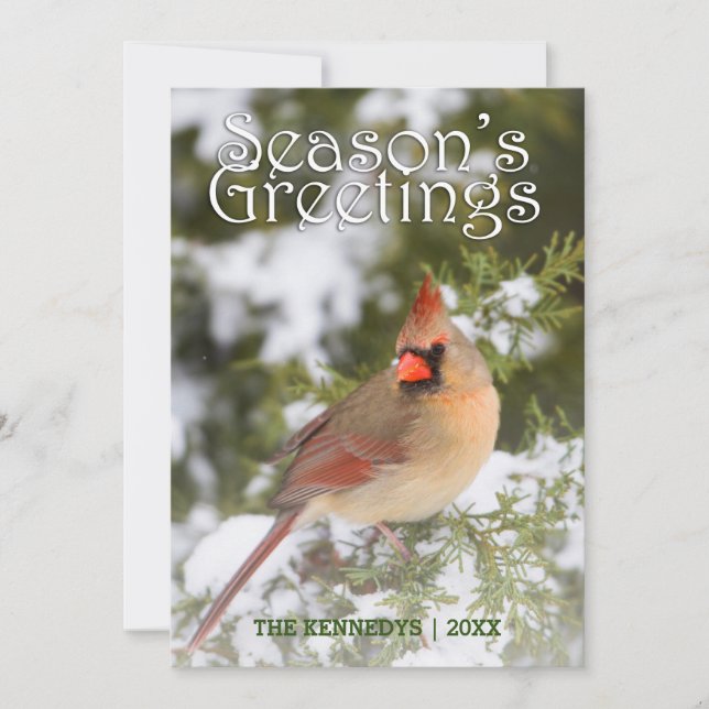 Greetings - Northern Cardinal in Juniper Tree Card (Front)