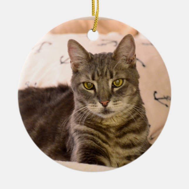 Greg tabby cat Christmas ornament (Front)