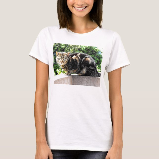 Gremlin the tabby cat T-Shirt (Front)