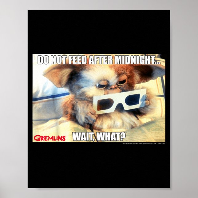 Gremlins Do Not Feed After Midnight Wait What Meme Poster (Front)