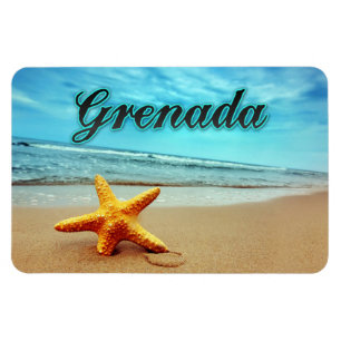 Grenada starfish magnet