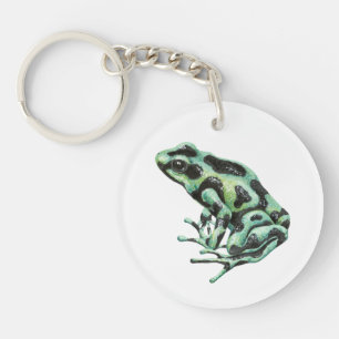 grenouille à fléchettes
