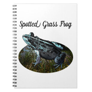 Grenouille à herbe tachetée, Carnet