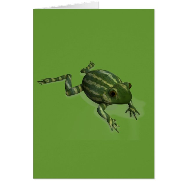 Grenouille à pastèque (Devant)