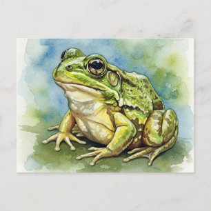 Grenouille dans la carte postale Sunlight pour le 