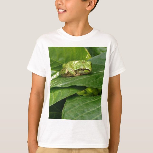 Grenouille d'arbre Pacifique - T-shirt (Devant)