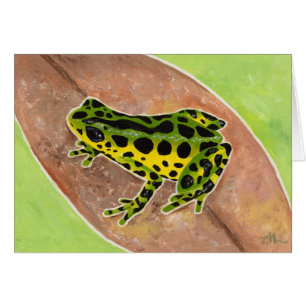 Grenouille de la forêt tropicale