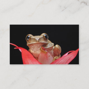 Grenouille mignonne et drôle dans le carte de