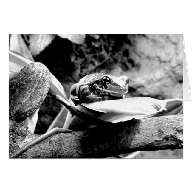 Grenouille sur la feuille B+W Carte de voeux (Devant horizontal)