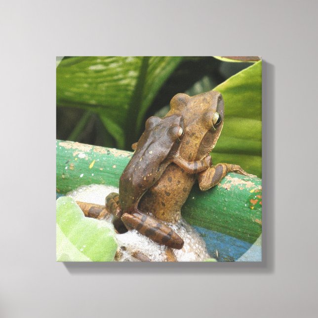 Grenouille sur toile arrière Impression (Recto)