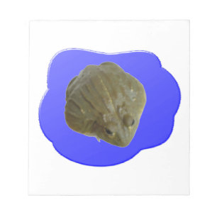 Grenouille taureau dans le Bloc-notes en étang