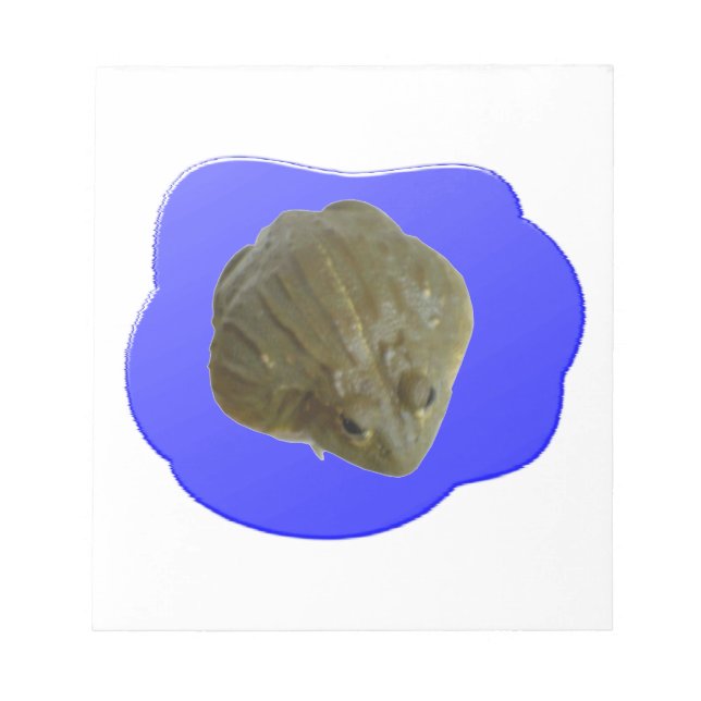 Grenouille taureau dans le Bloc-notes en étang (Devant)