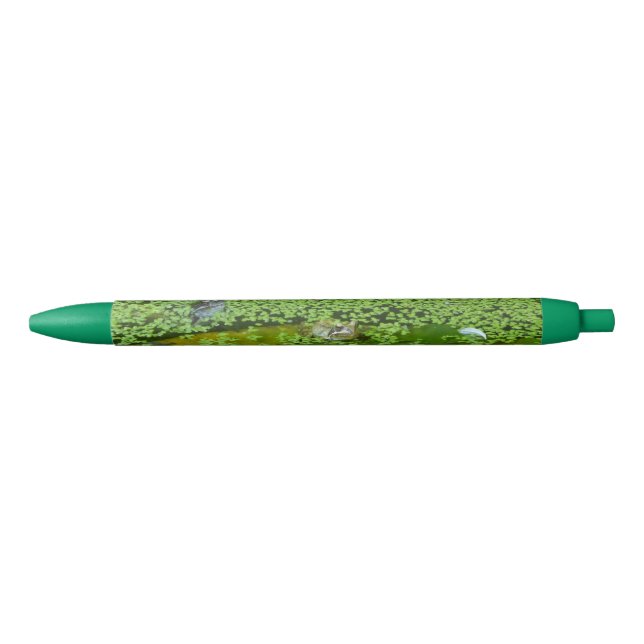 Grenouilles néerlandaises entourées par le stylo (Devant)