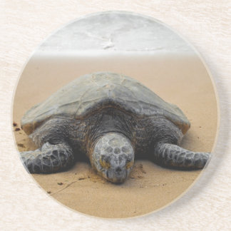 Grès Dessous de verre mis en danger de tortue de mer