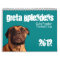 Greta Splendens: Quite Possibly the Best Dog