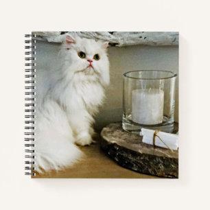 Grève Un Carnet Pose