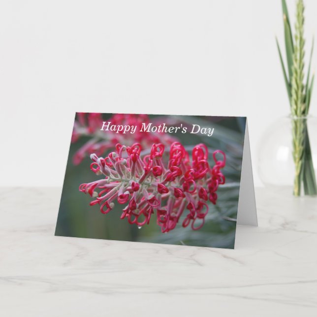 grevillea flower card (Front)