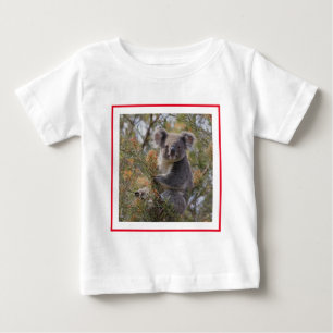 Grevillea Koala Bear, Baby T-Shirt