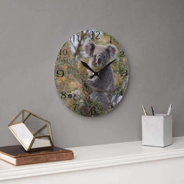 Grevillea Koala Bear, Large Clock (Office)