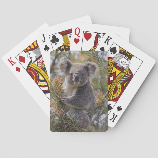 Grevillea Koala Bear, Playing Cards (Back)