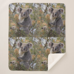 Grevillea Koala Bear, Sherpa Blanket