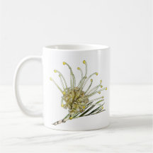 Grevillea Mug