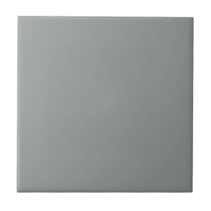 Grey African Parrot Square Kitchen and Bathroom Tile
