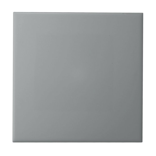 Grey African Parrot Square Kitchen and Bathroom Tile (Front)