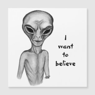 Grey Alien , I want to believe