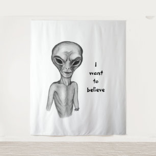 Grey Alien , I want to believe Tapestry