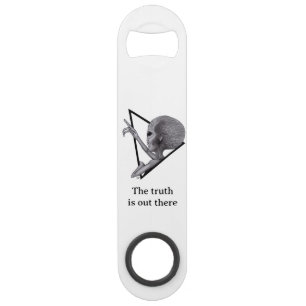 Grey Alien, the truth is out there Bar Key