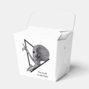 Grey Alien, the truth is out there Favor Box