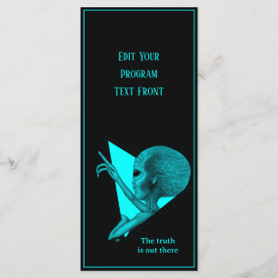 Grey Alien, the truth is out there Program
