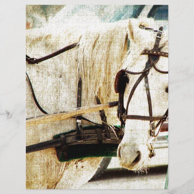 Grey Amish Buggy Horse (Front)