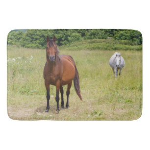 Grey and bay horses bath mat