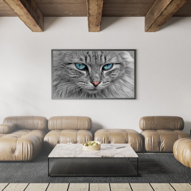 Grey and Black Tabby Cat with Beautiful Blue Eyes Poster (Creator Uploaded)