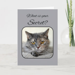 Grey and Orange Tortoiseshell Cat Happy Birthday Card