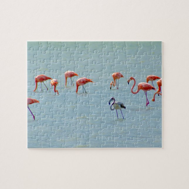 Grey and pink flamingos flock in lake jigsaw puzzle (Horizontal)