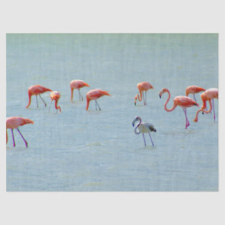 Grey and pink flamingos flock in lake tissue paper