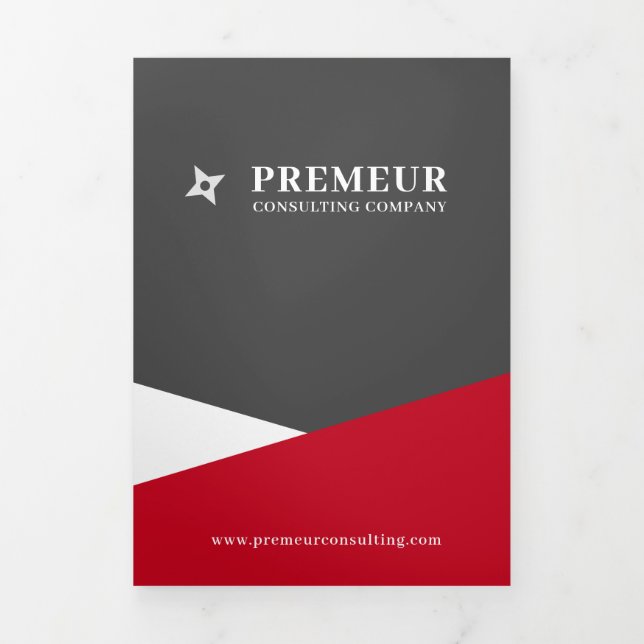 Grey and Red Business Tri Fold Brochure (Cover)