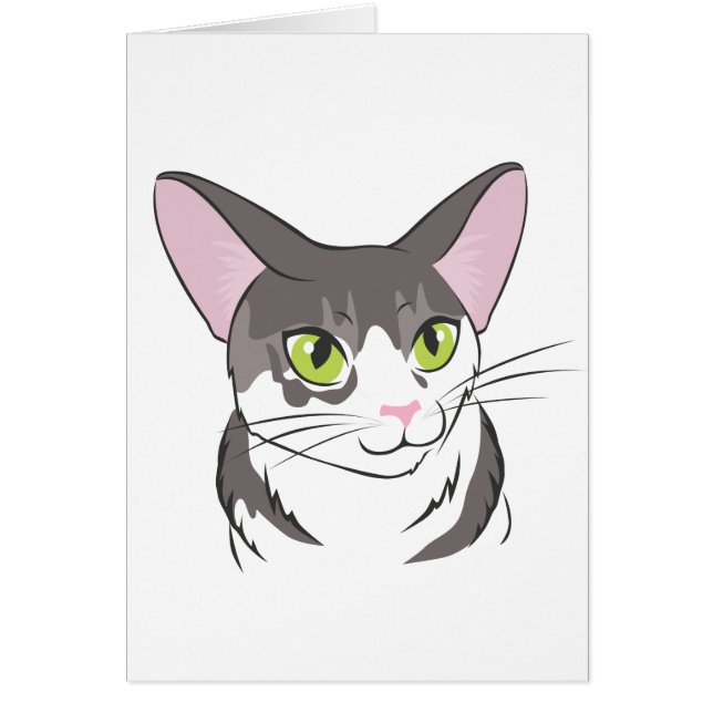 Grey and White Cat (Front)