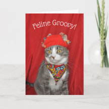 Grey and white cat Hippie Valentine's or Birthday