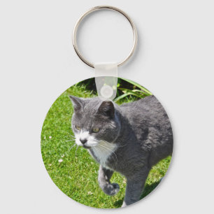 Grey and White Cat Key Chain