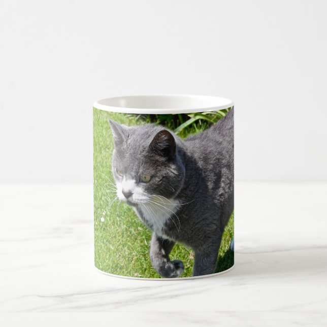 Grey and White Cat  Mug (Center)