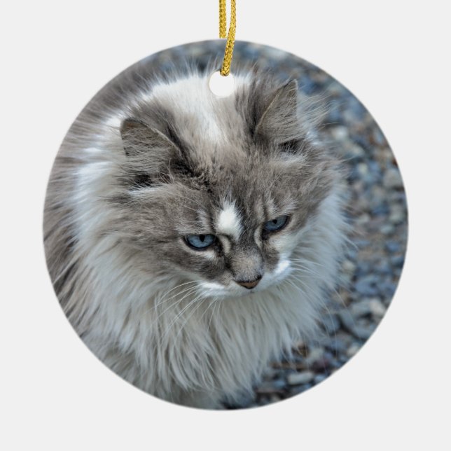 Grey and white kitty cat ceramic ornament (Front)