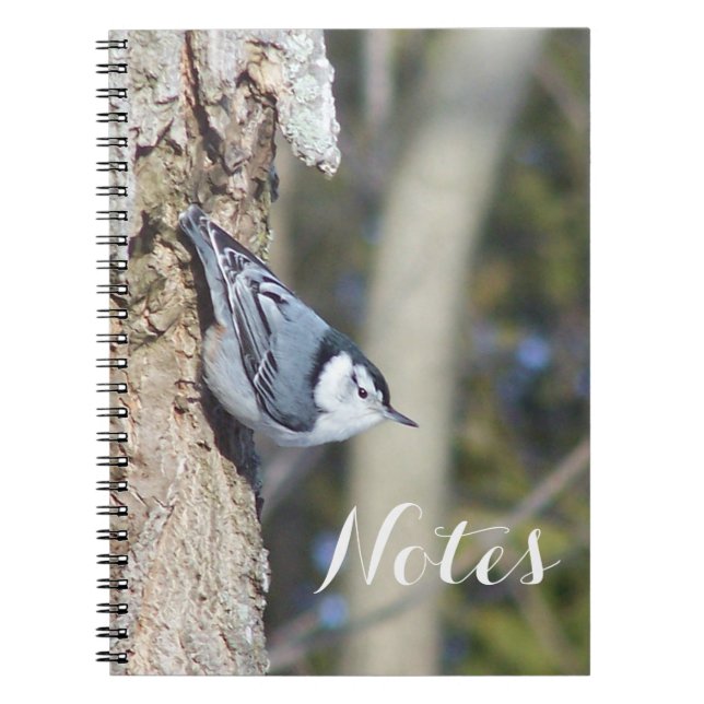 Grey and white nuthath bird notebook (Front)